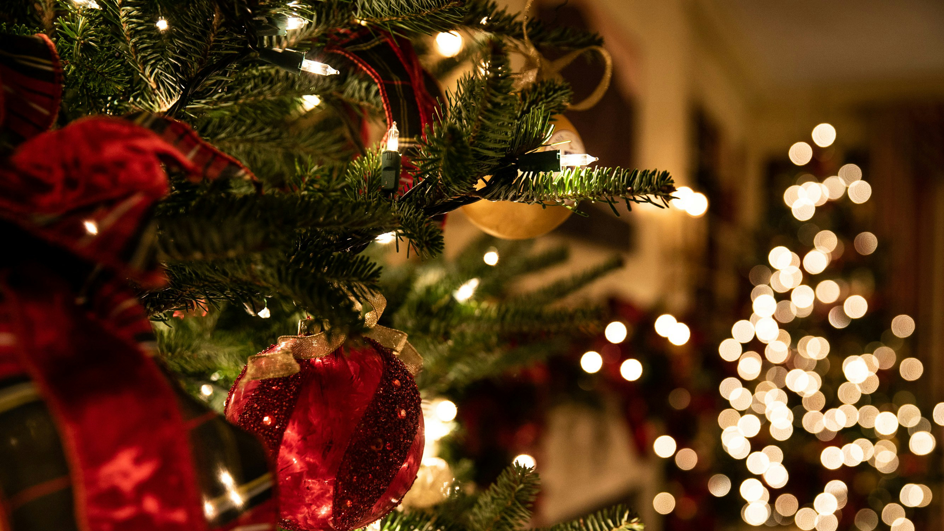 Ein weihnachtlich geschmückter Tannenbaum mit Lichtern.
