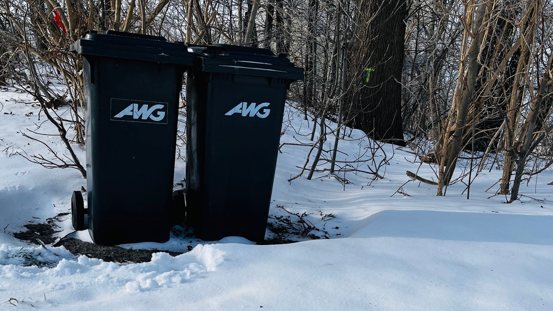 Ein Symbolbild von zwei Restabfalltonnen im Schnee.